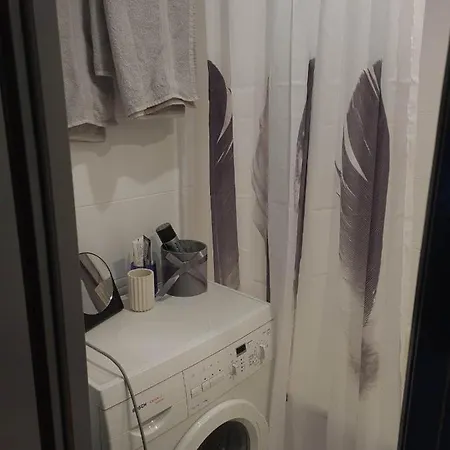 Dvieju Kambariu Butas 카우나스